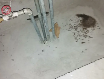 泉州卫生间测漏水价格明细